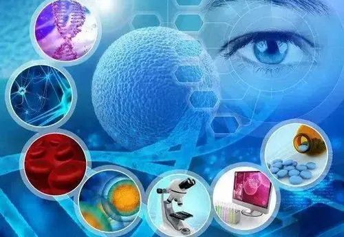 生物科學與生命科學的區(qū)別(二) 聚焦生物技術(shù)研究與開發(fā)